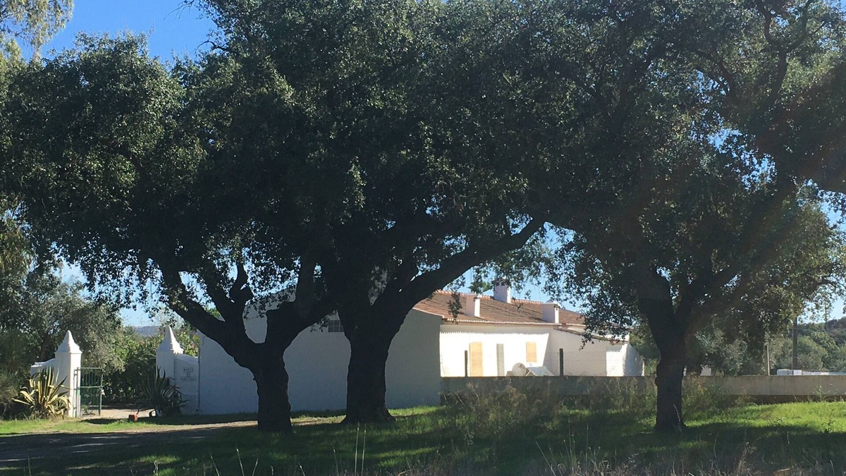 Viana do Alentejo House | A CHARMING HORTA IN THE HEART OF ALENTEJO