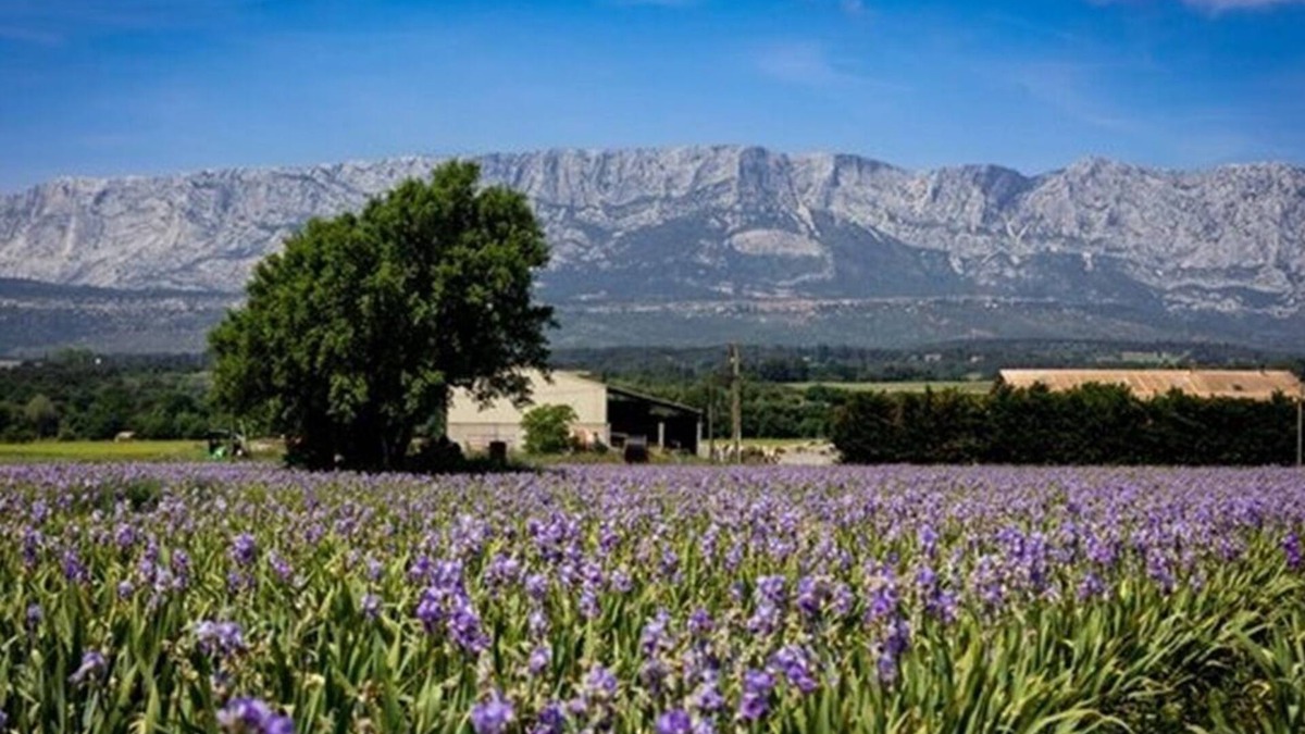 Trets Villa | A CHARMING, RELAXING & EXOTIC SETTING MINUTES FROM TRETS