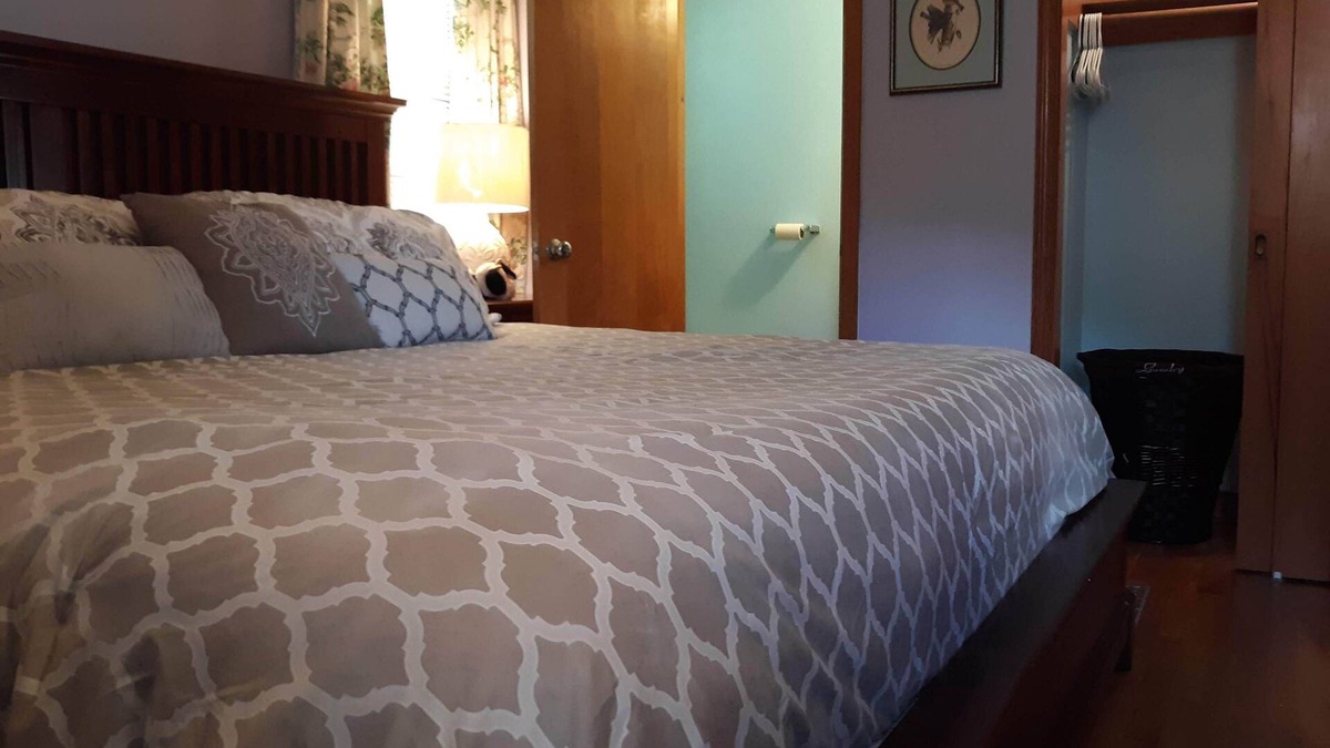 Dumbarton House | A Clean, Safe, House full of steel balls & vintage game consoles
