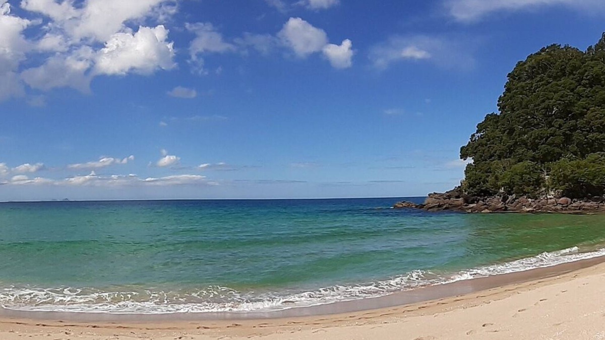 Onemana Apartment | A couple's getaway and pet beach holiday spot, 2 minute walk to the beach ⛱