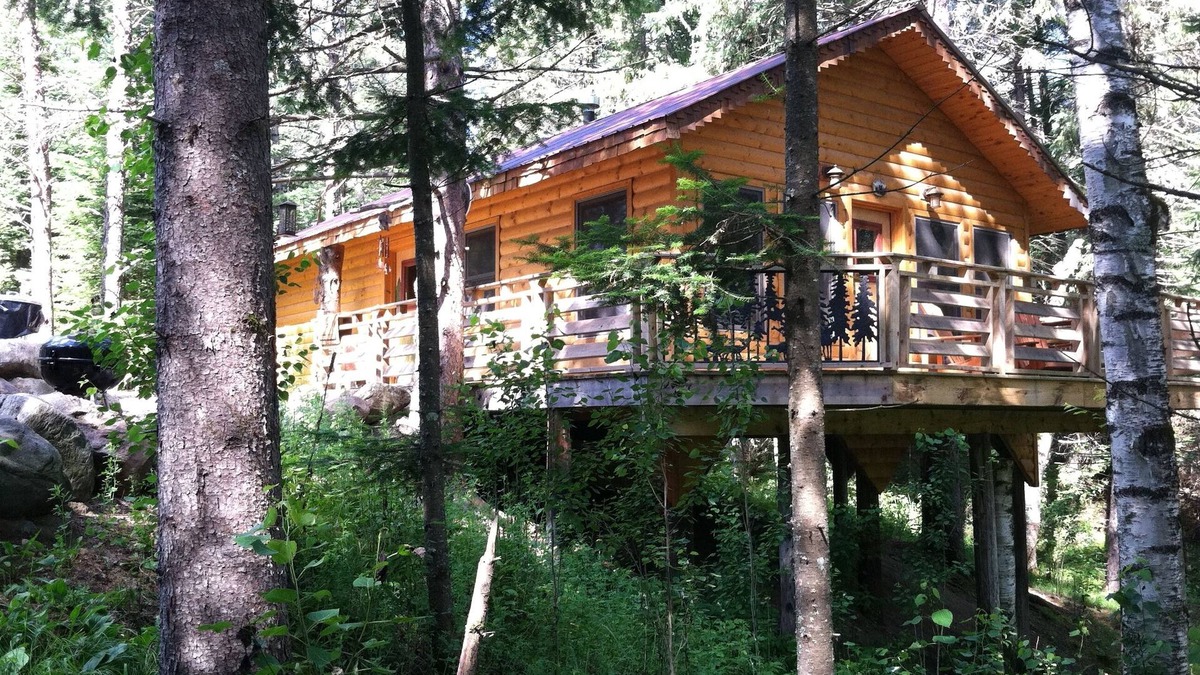 Shevlin Cabin | A Cozy Cabin in the Woods, Many Trails And A Little Lake