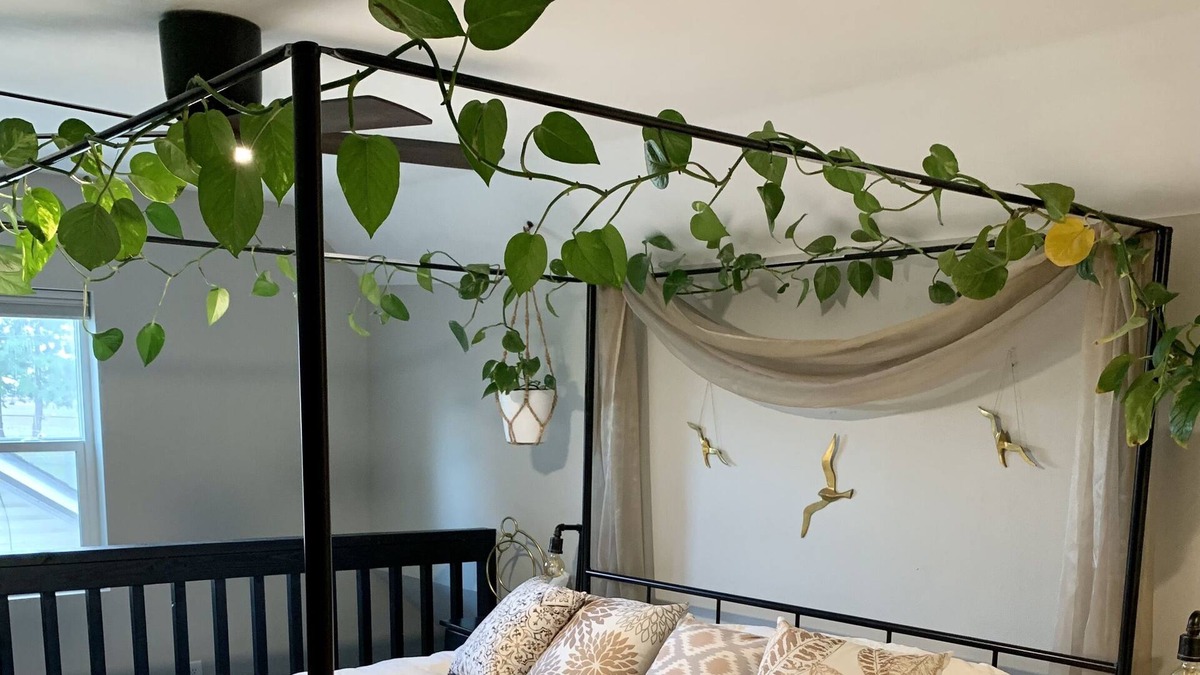 Southeast Salem Cottage | A Cozy Place to Land