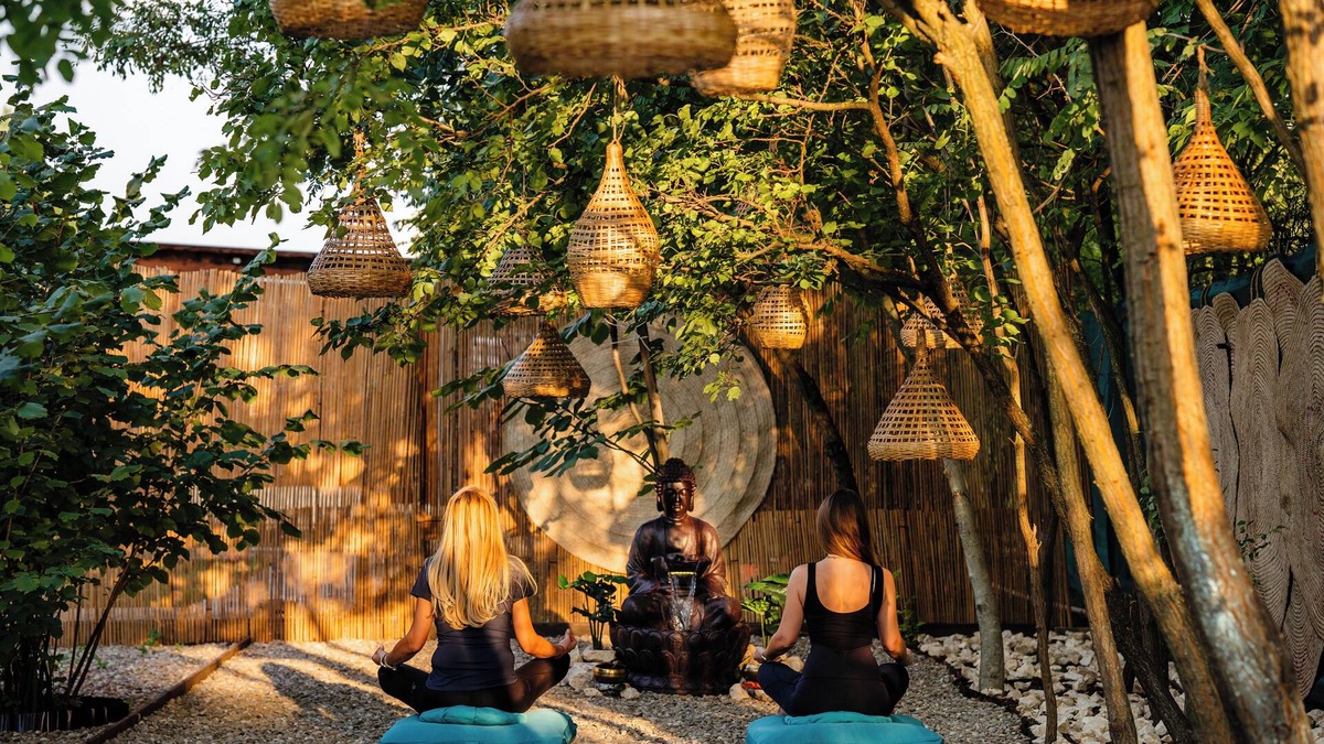 Stefanestii de Jos Villa | A cozy retreat and welcoming retreat in the middle of our Alpaca farm