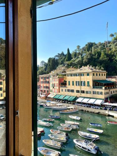 Arzeno Apartment | A dream in Portofino Piazzetta