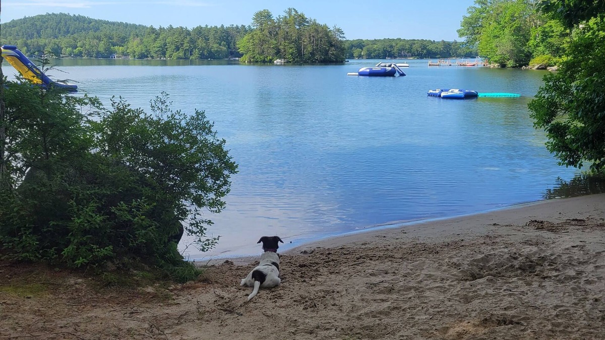Wolfeboro Cabin | a few days left in August. price drop!