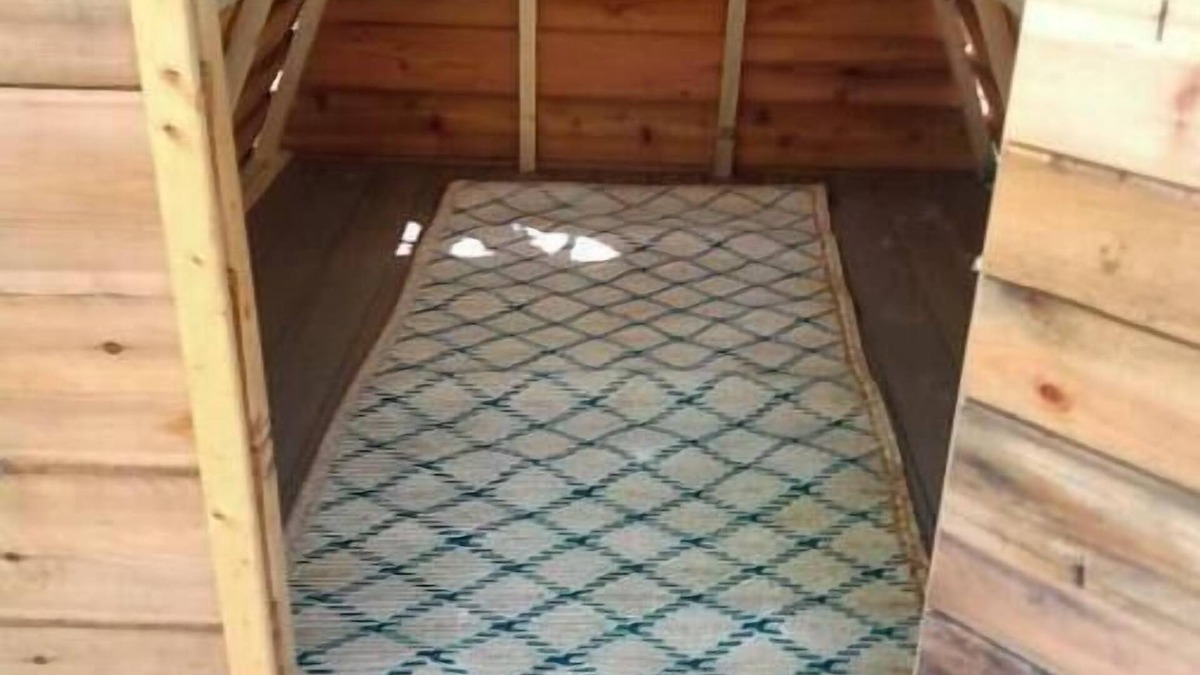 Cass City Cabin | A Frame Bunkie