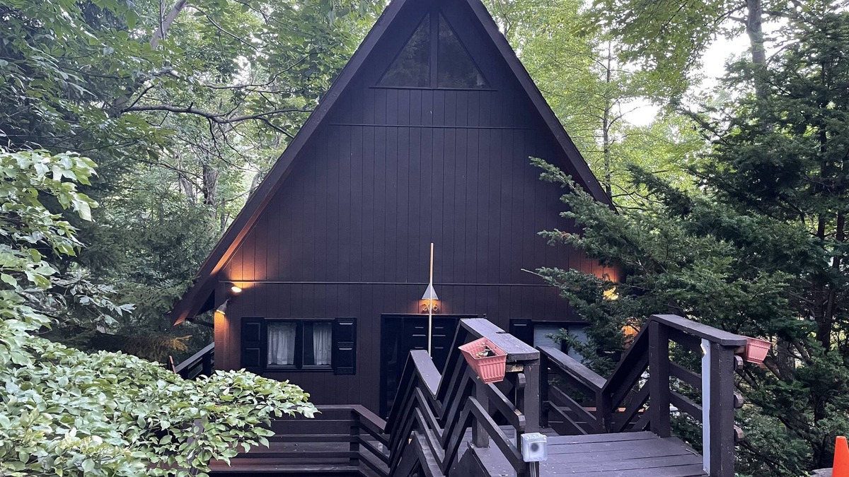 Massanutten House | A-Frame Getaway - w/EV charger!