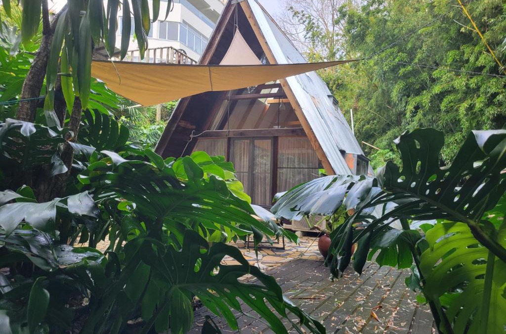 Parnell Ski Chalet | A-frame Studio in Parnell