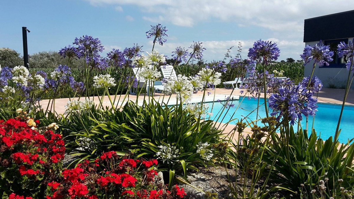 Brignogan-Plage Apartment | A furnished 5 * - Independent apprt in villa 100 m from the sea