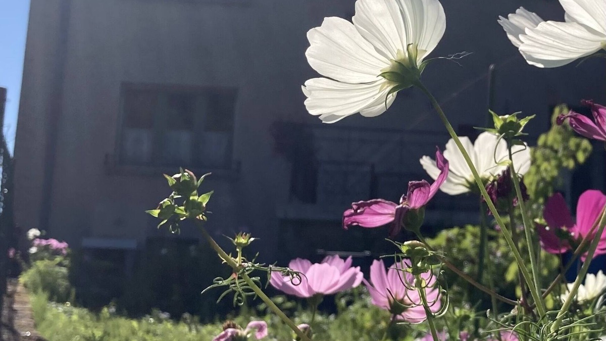 Ranguevaux House | A green setting in the heart of a region rich in industrial heritage