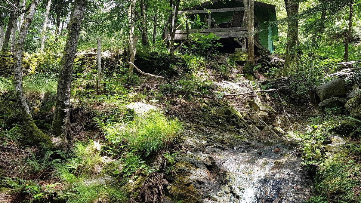 St Gervais sur Mare Cabin | a hidden hut with a terrace overlooking the forest