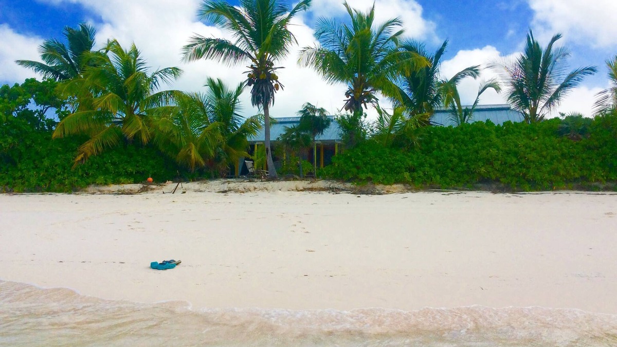 Orange Creek Cottage | A Home On The Beach For The Two Of You As Well As Your Kids And Your Pet