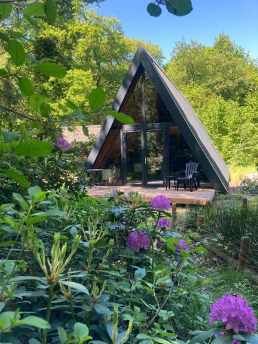 Norg House | A-huis in het bos van Drenthe