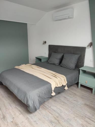 Neung-sur-Beuvron Bed & Breakfast | A l'Ombre des Bois, Chambre double confort