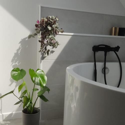 Neung-sur-Beuvron Bed & Breakfast | A l'Ombre des Bois, Chambre double vue jardin