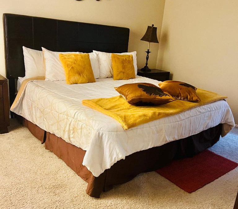 Astrodome Apartment | A Laid Back 2 BR 2 BT Patio Near NRG Arena Theatre Medical Center Rental Car Available