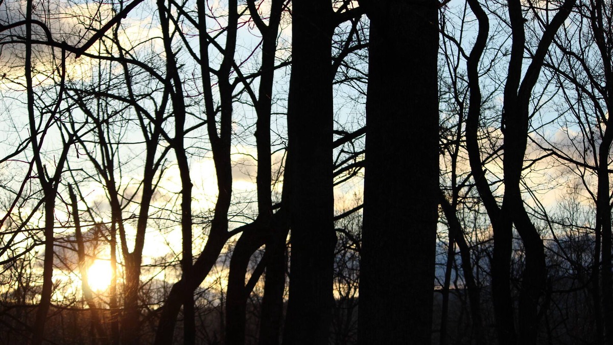 Wardensville Cabin | A little slice of heaven in gorgeous Lost River, West Virginia!