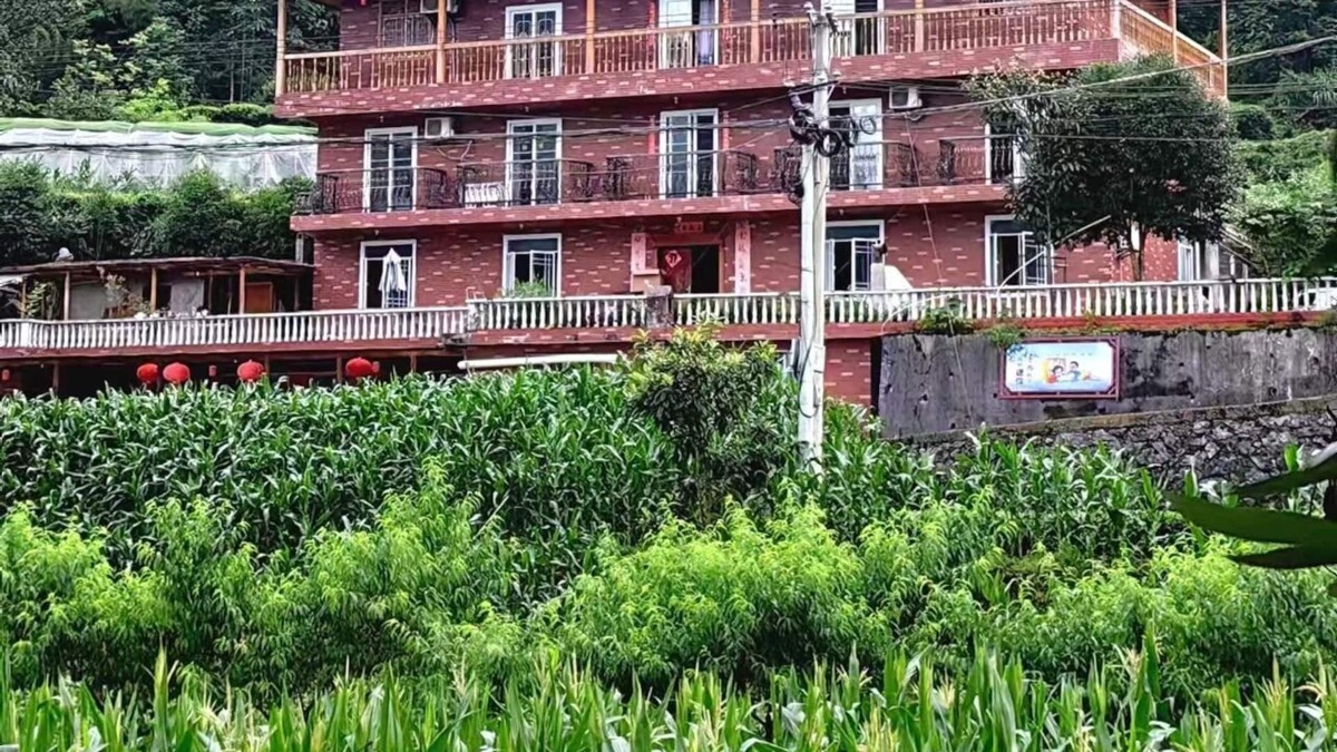 Enshi Cabin | A lodge surrounded by forests, mountains and tea fields !
