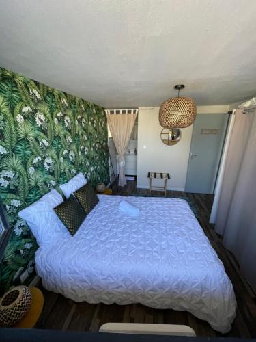 Espalion Apartment | A louer appartement t2