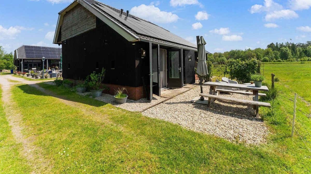 Spier House | A lovely cottage on the Dwingelderveld nature park
