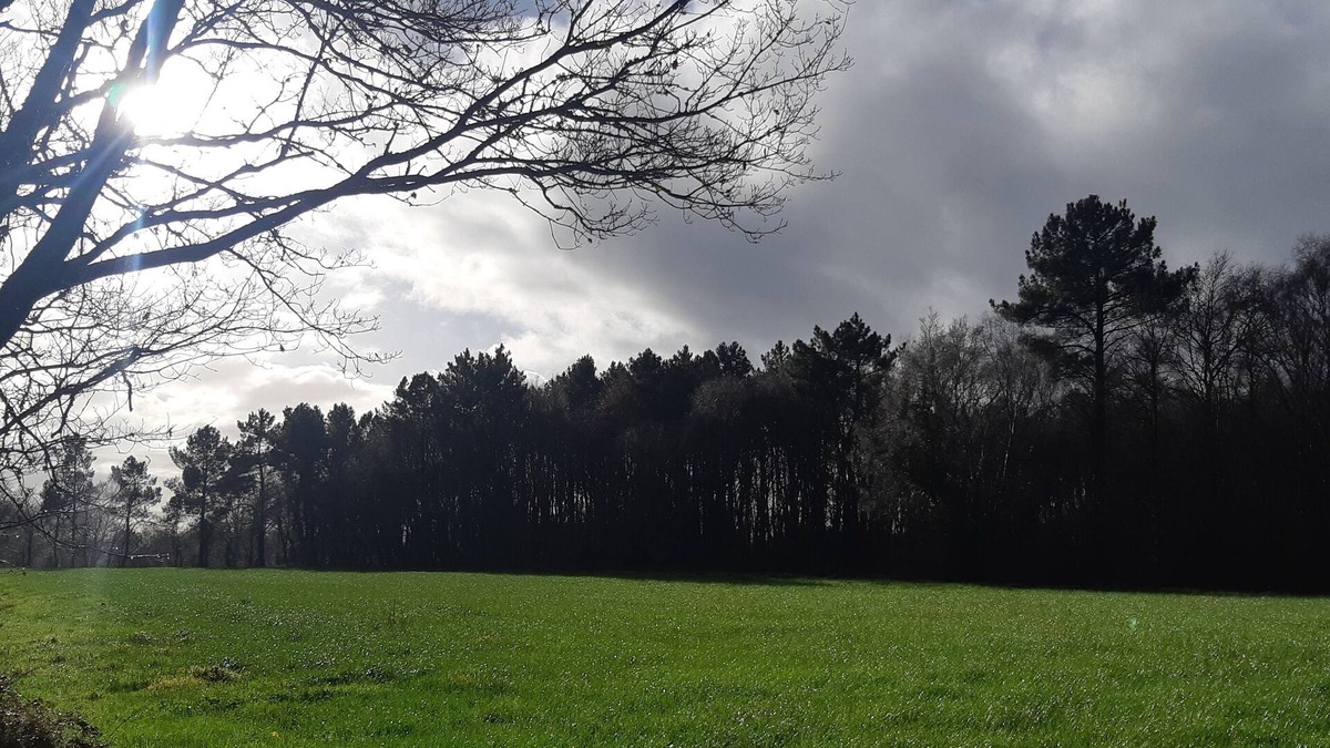Mos House | A nice place and cottage in the countryside. Pets welcome