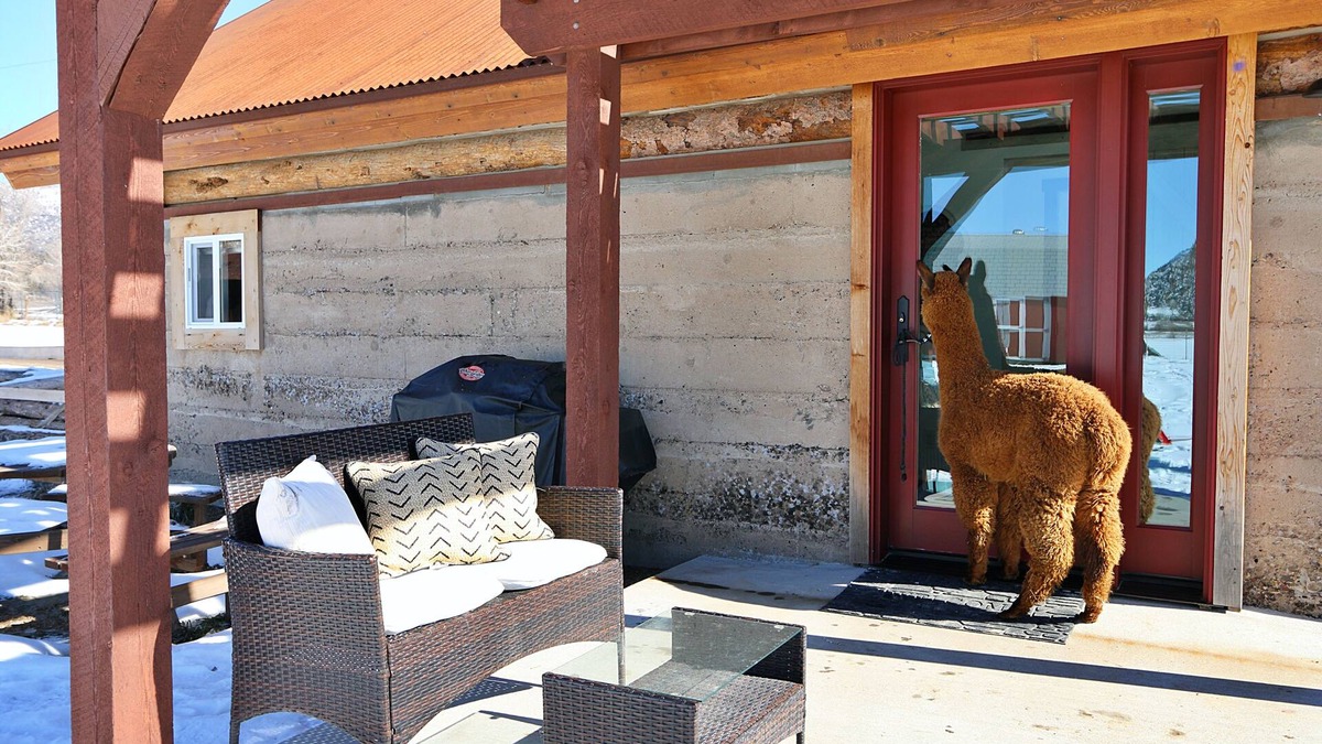 Silt Apartment | A Night with the Alpacas & Alpaca Experience!
