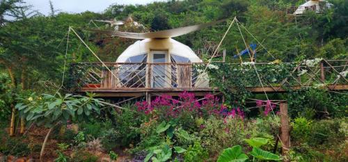Lake Manyara National Park Other | A Nomad's Rest Lodge