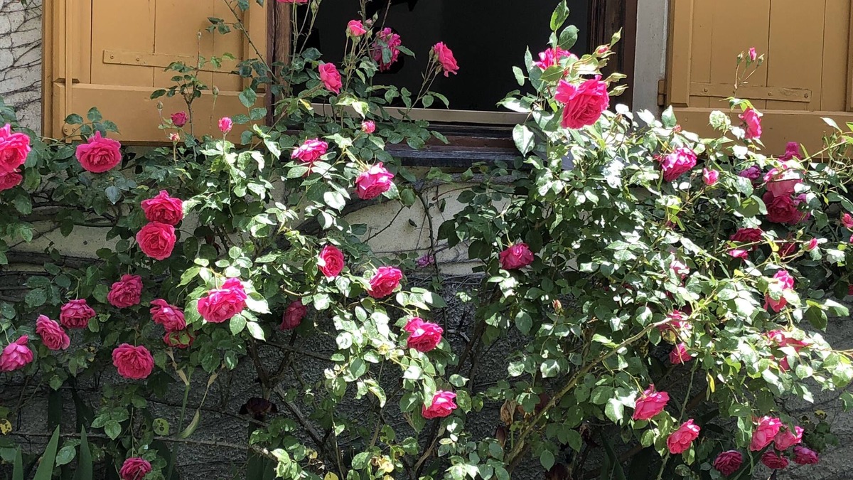 Savignone Bed & Breakfast | A o Soâ B&B