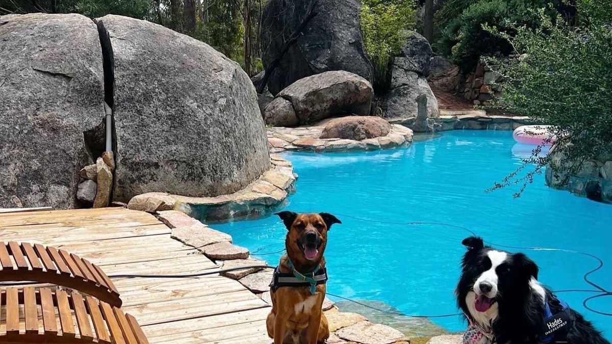 Hovea Cottage | A Paradise for Dogs and a Magical Place for Humans