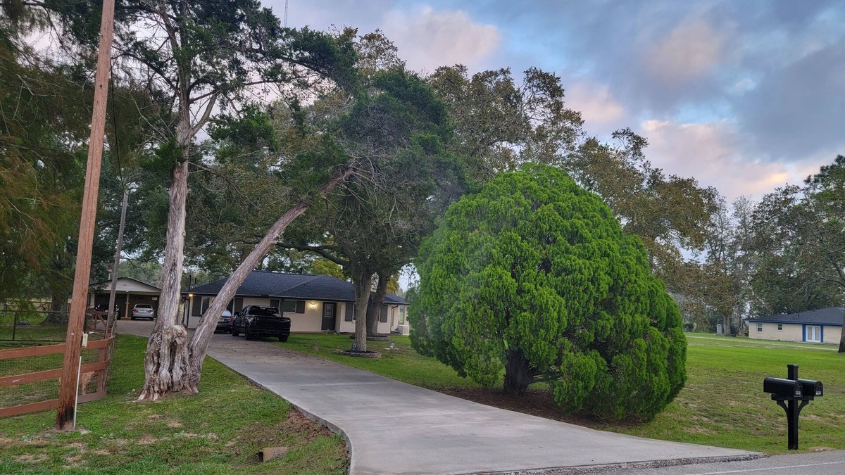 Alvin House | A peaceful guesthouse that is close to everything but feels miles away!
