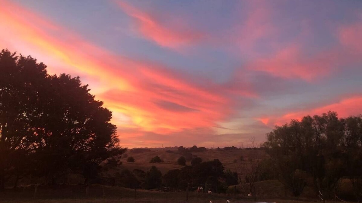 Rotowaro Cottage | A Place in the Country