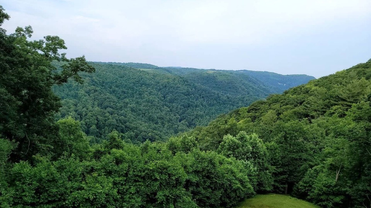 Dan River House | A Private escape just off Parkway at Groundhog Mountain