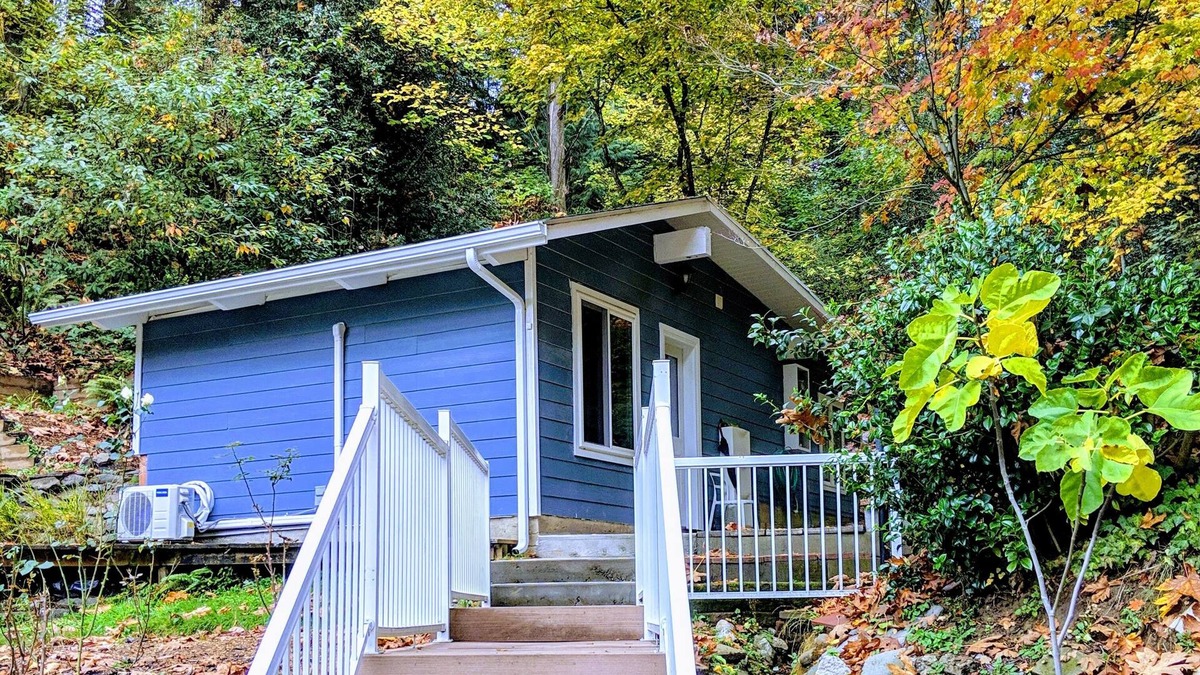 Lake Forest Park Cabin | A private newly renovated cabin surrounded by trees