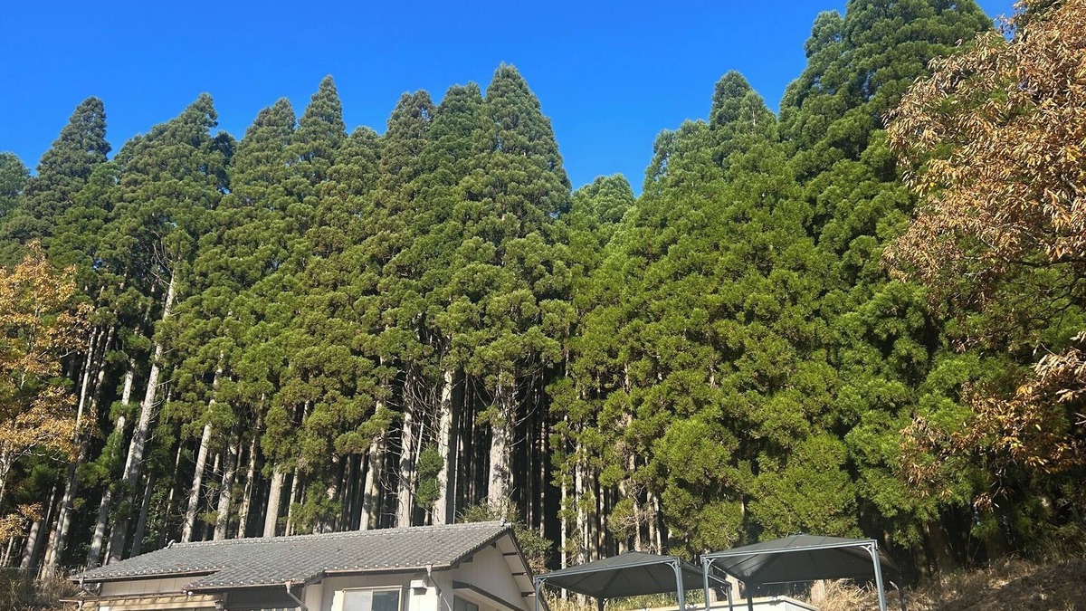Gokase House | A quiet countryside experience in a private space/Nishiusuki-gun Miyazaki