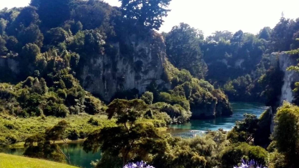 Taupo Apartment | A Quiet, peaceful hideaway by the Waikato river.