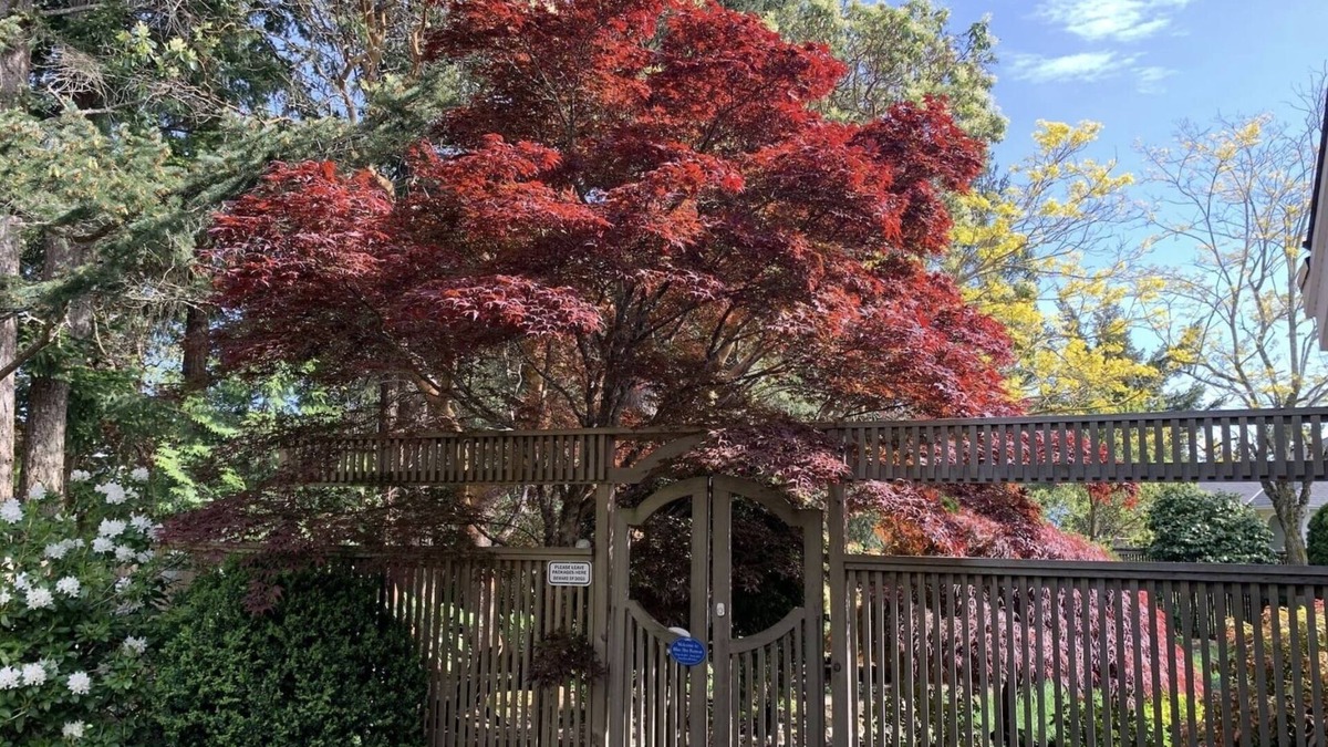 Victoria House | A quiet, private suite overlooking a quaint lake