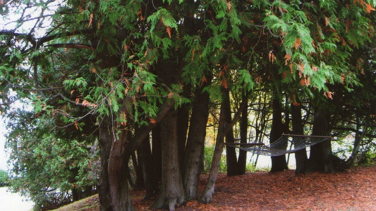 Baileys Harbor Cottage | A Quiet Retreat In Door County Close To The Water, Shops, Eateries And Golf.