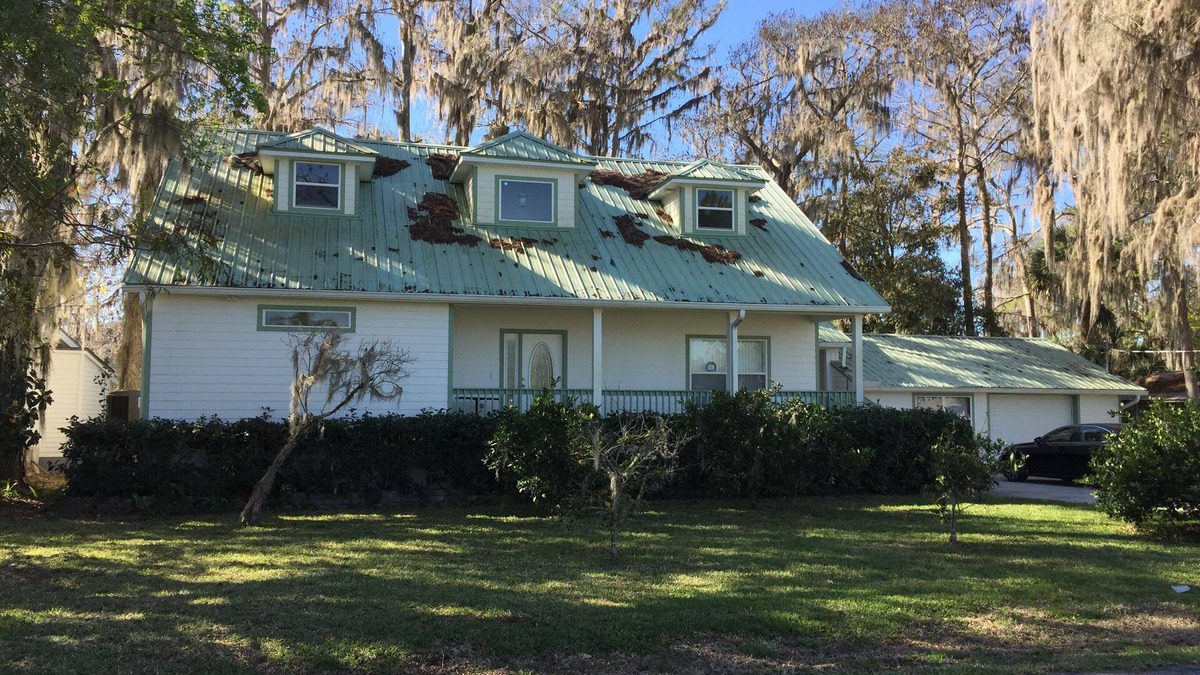 Ormonds Jungle Den Camp Sites House | A Quiet Town with a Fishing Problem. Great Way to Avoid Hotel/Motel Crowds!