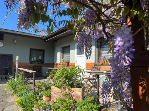 Plzen House | A+R Pension