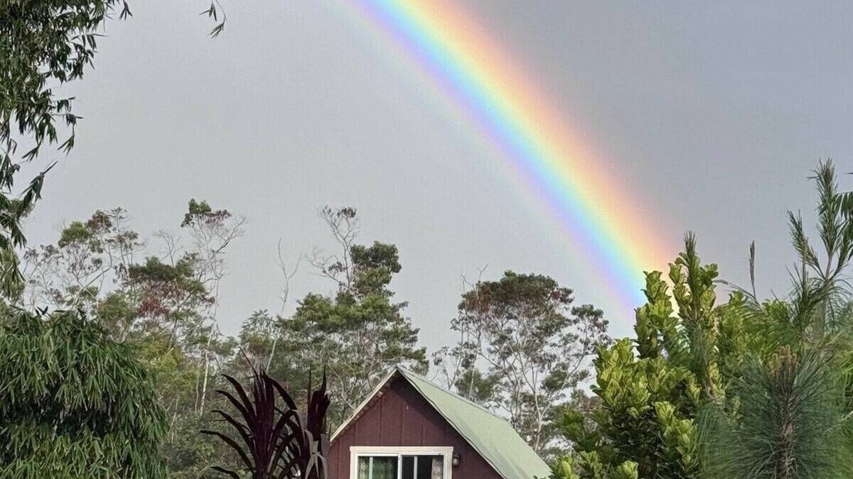 Hilo Cabin | A Rainforest Eco-Lodge on the Hamakua Coast