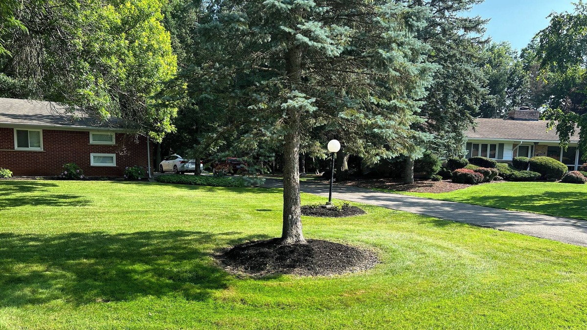 Southfield House | A relaxing home away from home, 20 minutes from downtown Detroit