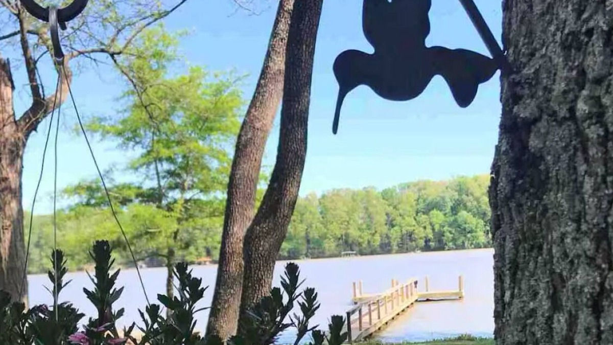 Rogersville Cottage | A River Front Paradise