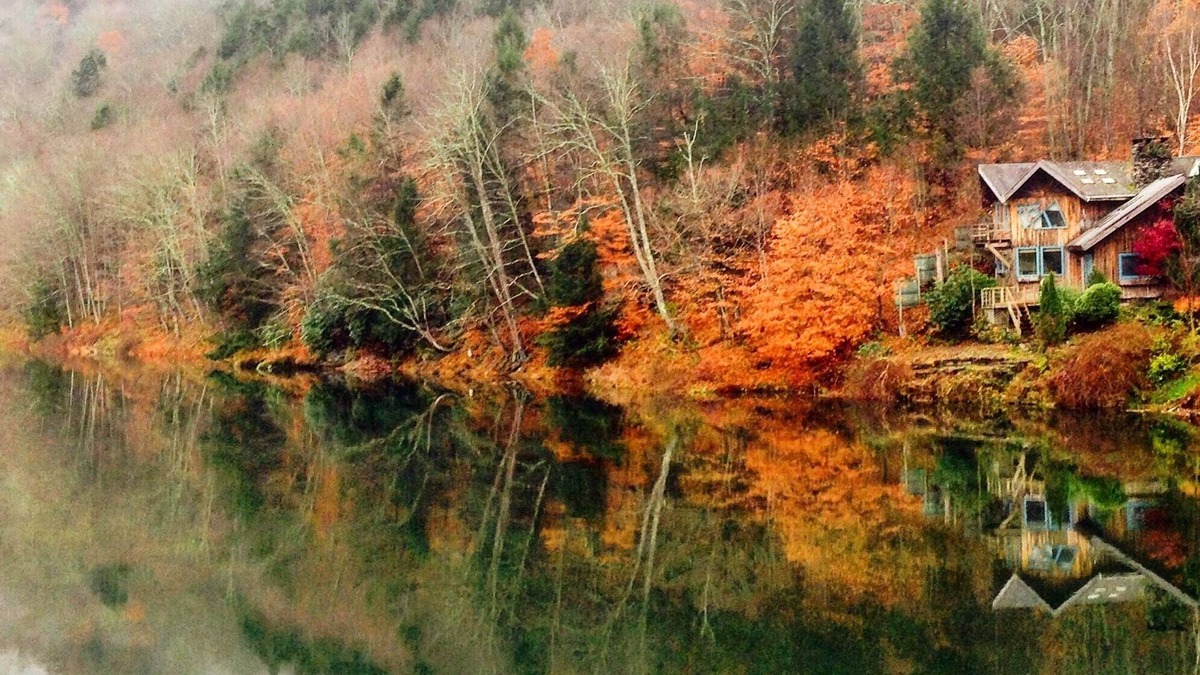 East Branch House | A river runs through it