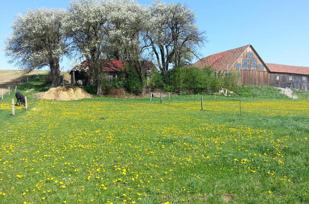 Bischofstetten House | A-Sissy-Hof
