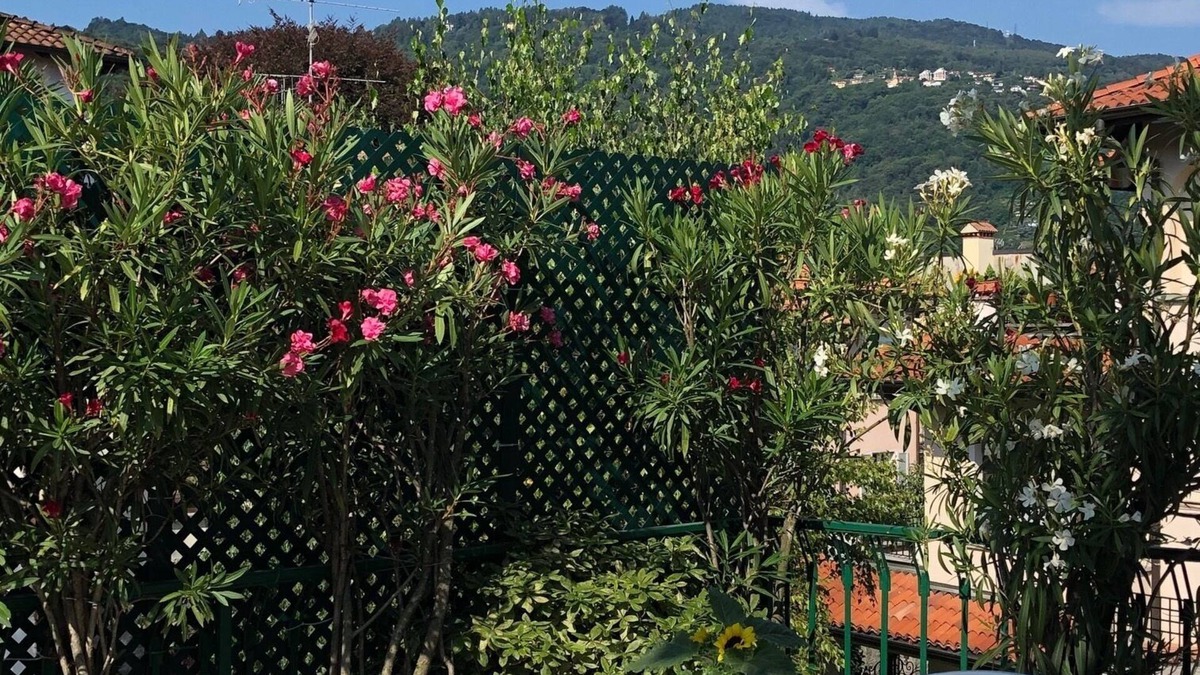 Stresa Apartment | A terrace with mountain view, quiet and spacious apartment.