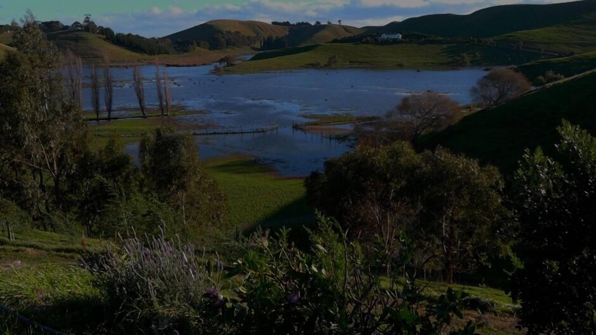 Puketapu House | A Touch of Country Close To Town -LangTree Cottage