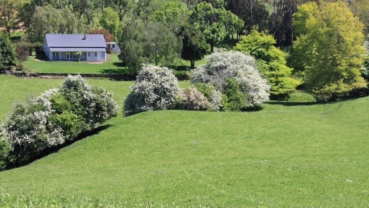 Halcombe Cottage | A tranquil country cottage