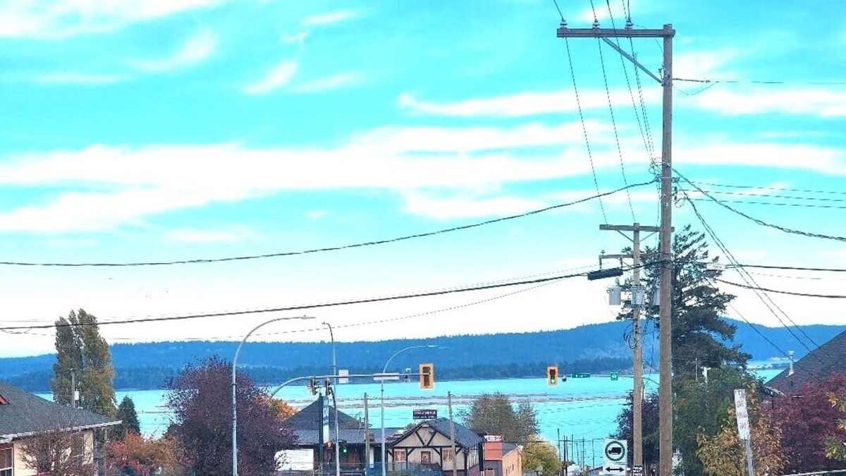 Regional District of Nanaimo House | A Walk to the Harborfront
