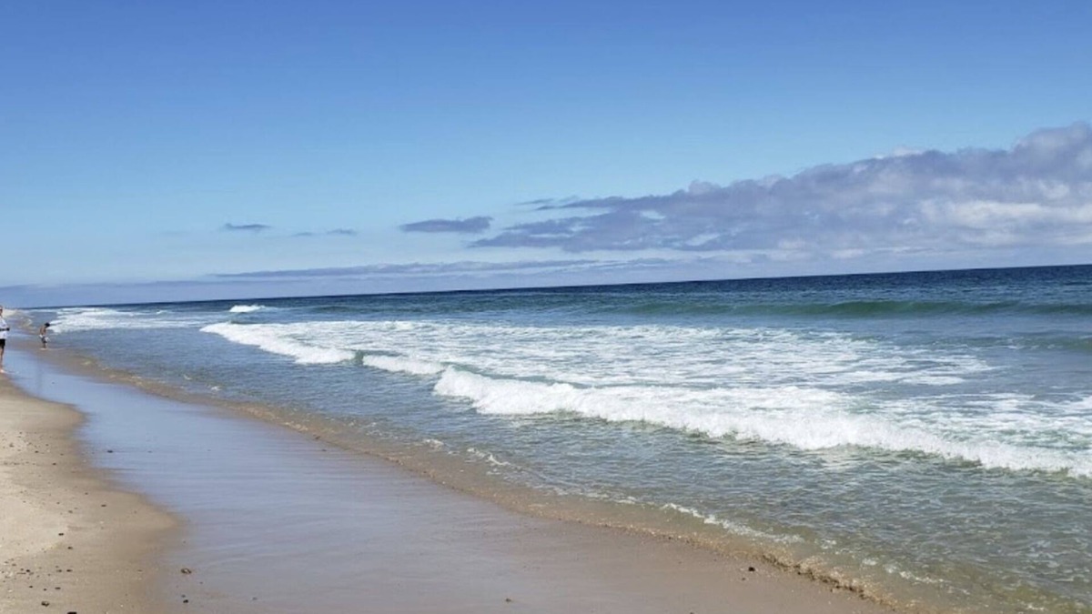 East Orleans House | A Wave From It All: 227-O Overlooks Nauset Beach/Atlantic, Heated Pool, Hot Tub & Fire-pit