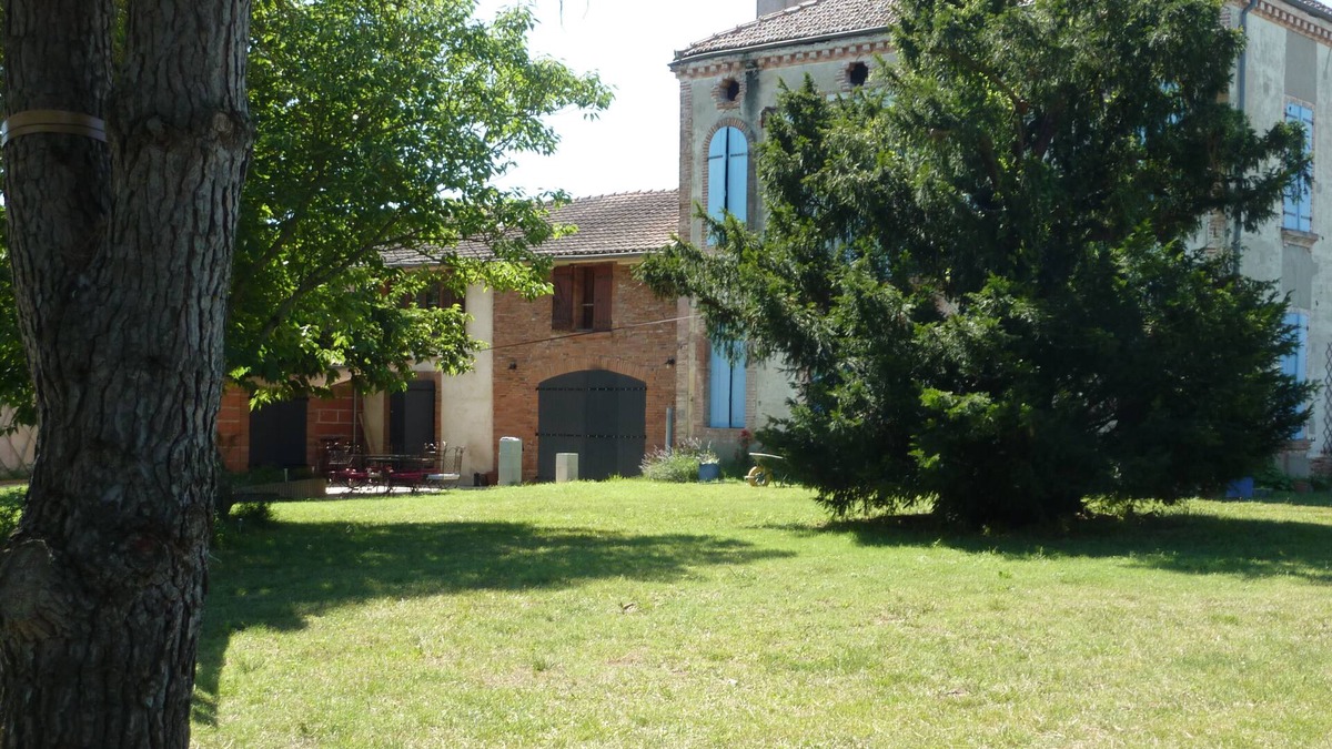 Lacourt-Saint-Pierre Other | A whole field for you